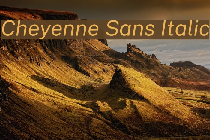 Cheyenne Sans Italic Font examples