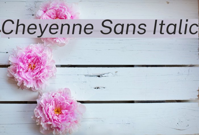 Cheyenne Sans Italic Font examples