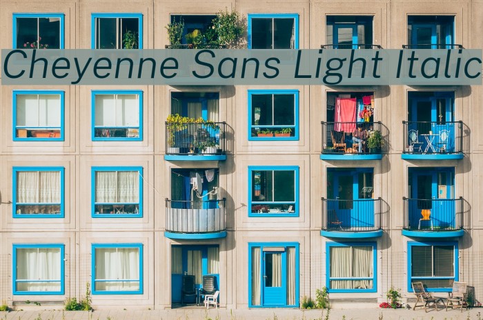 Cheyenne Sans Light Italic Font examples