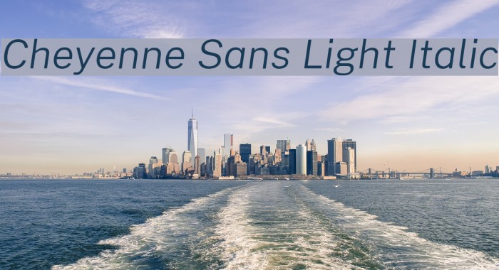 Cheyenne Sans Light Italic Font examples