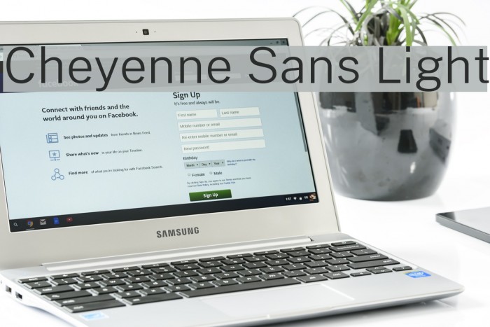 Cheyenne Sans Light Font examples
