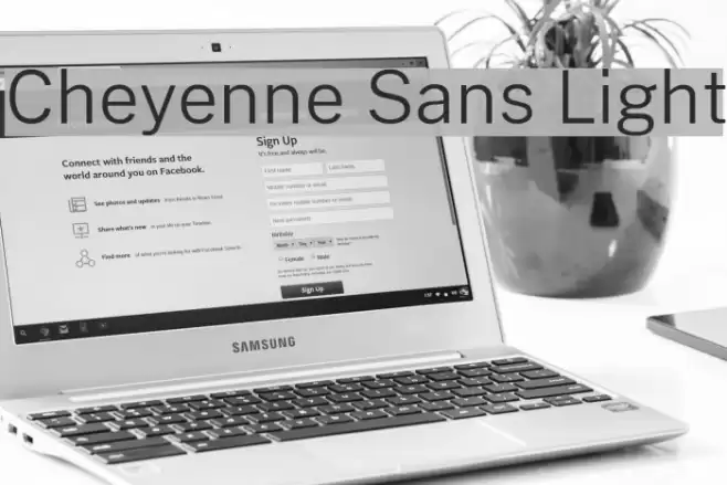Cheyenne Sans Light Font examples