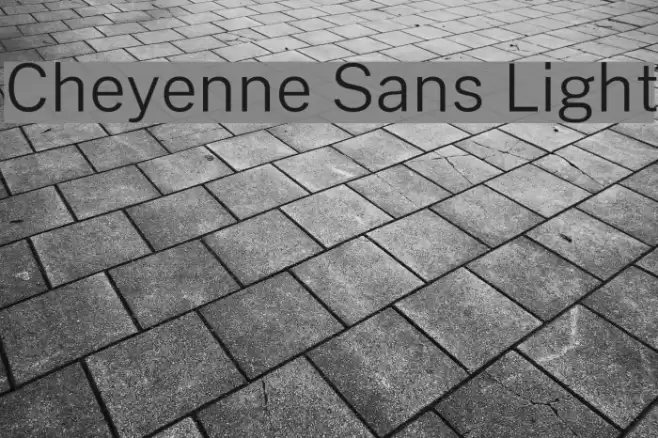 Cheyenne Sans Light Font examples