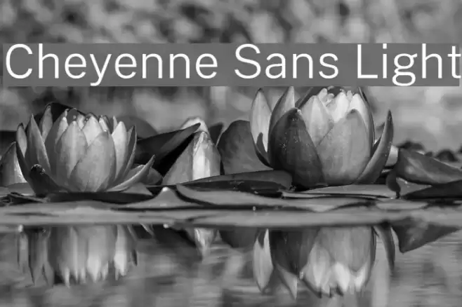 Cheyenne Sans Light Font examples