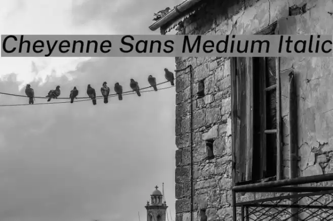 Cheyenne Sans Medium Italic Font examples