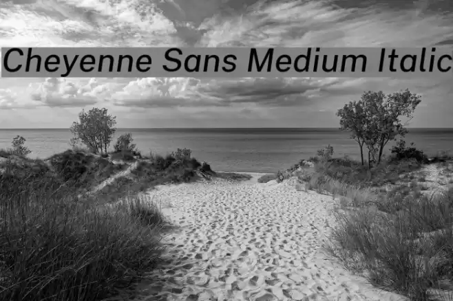 Cheyenne Sans Medium Italic Font examples