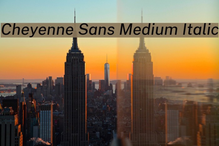 Cheyenne Sans Medium Italic Font examples