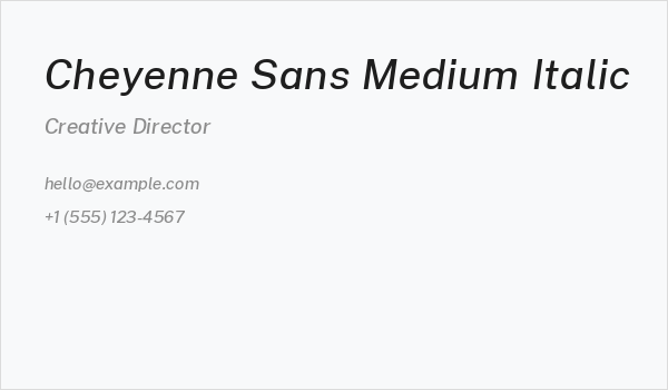 Cheyenne Sans Medium Italic Business Card