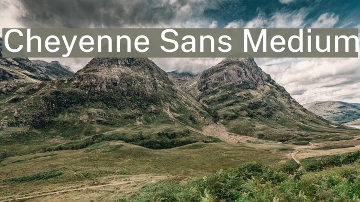 Cheyenne Sans Medium Font examples