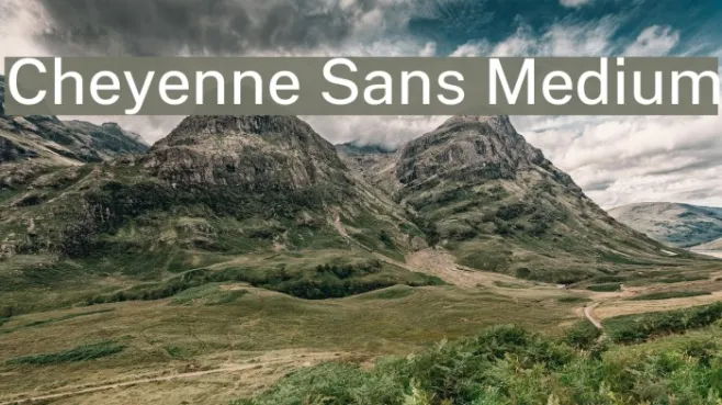 Cheyenne Sans Medium Example 2