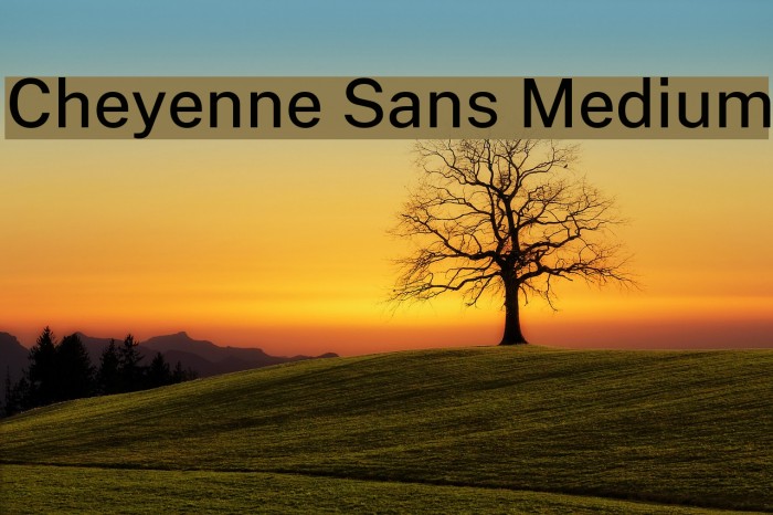 Cheyenne Sans Medium Font examples