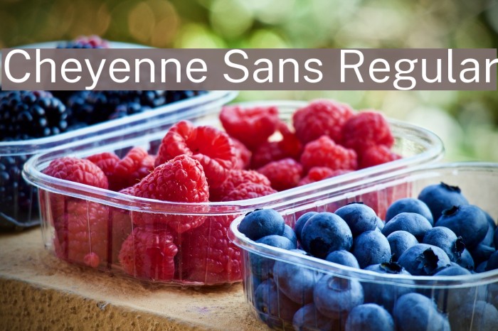 Cheyenne Sans Regular Font examples