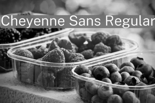 Cheyenne Sans Regular Font examples