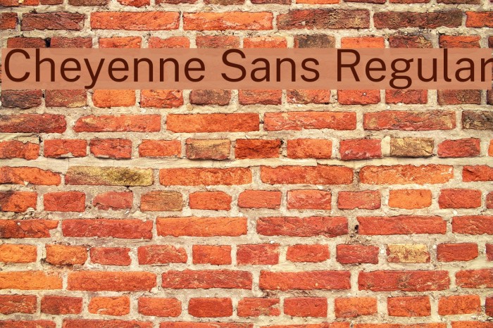 Cheyenne Sans Regular Font examples