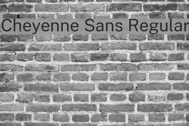 Cheyenne Sans Regular Font examples
