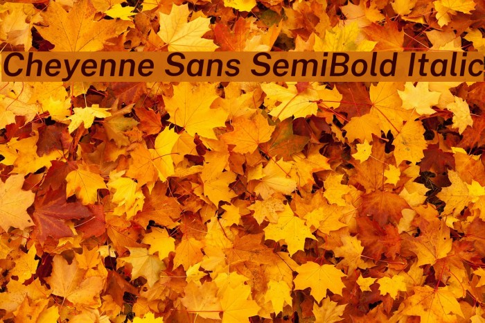 Cheyenne Sans SemiBold Italic Font examples