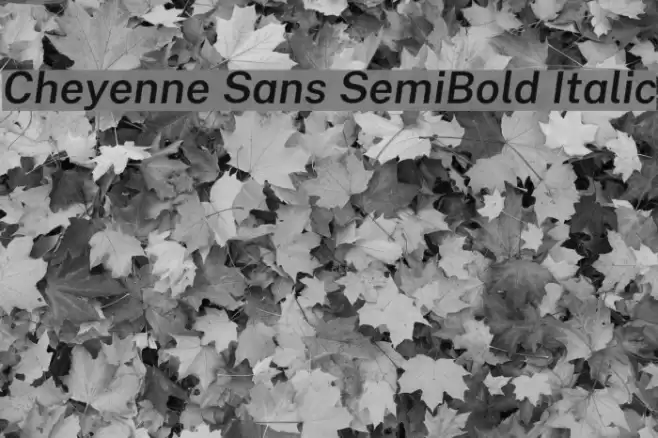 Cheyenne Sans SemiBold Italic Font examples