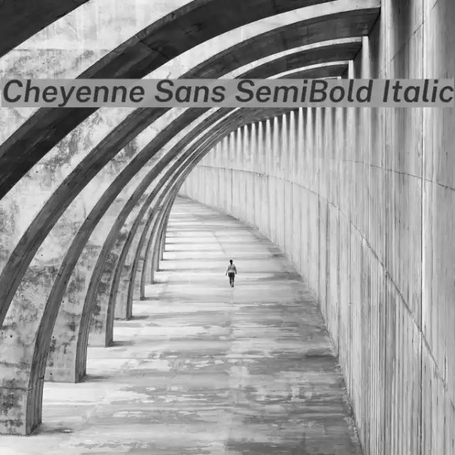 Cheyenne Sans SemiBold Italic Font examples