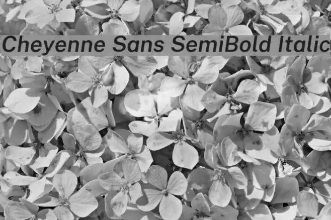 Cheyenne Sans SemiBold Italic Font examples