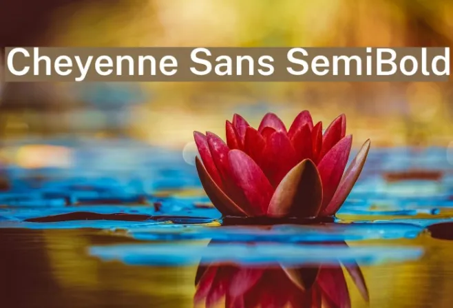 Cheyenne Sans SemiBold Example 1