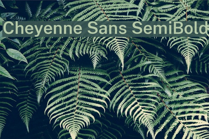 Cheyenne Sans SemiBold Font examples