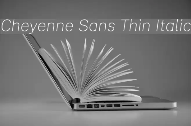 Cheyenne Sans Thin Italic Font examples