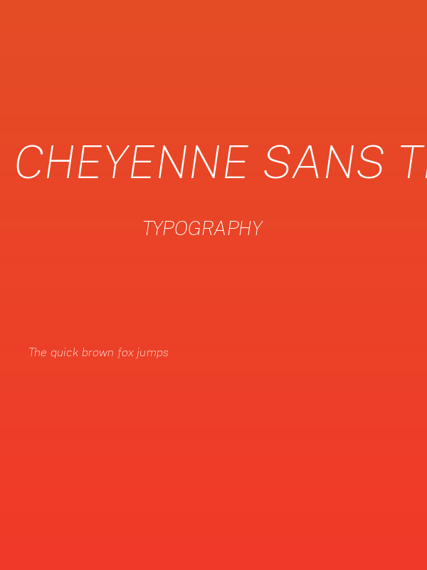 Cheyenne Sans Thin Italic Poster