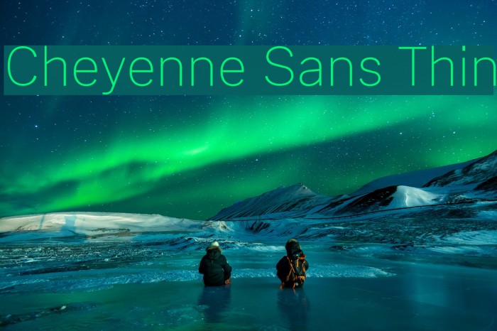 Cheyenne Sans Thin Font examples