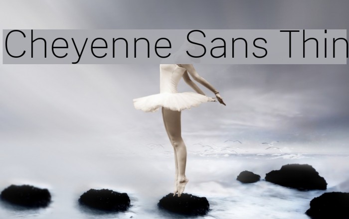 Cheyenne Sans Thin Font examples