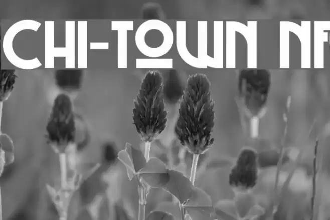 Chi-Town NF Font examples