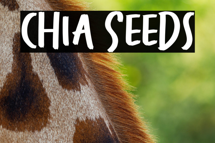 Chia Seeds Example 1