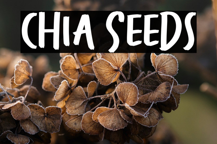 Chia Seeds Example 3