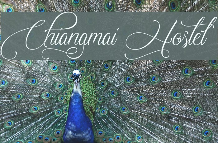 Chiangmai Hostel Example 3