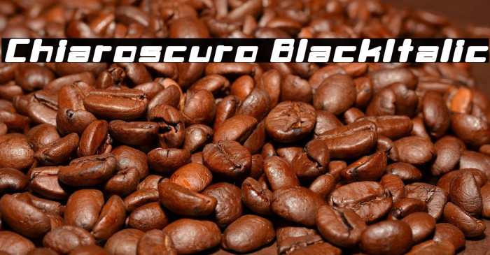 Chiaroscuro-BlackItalic Example 2
