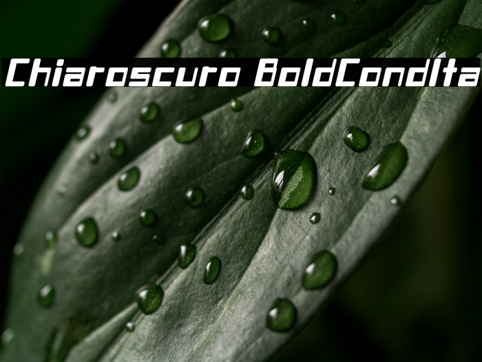 Chiaroscuro-BoldCondIta Example 1