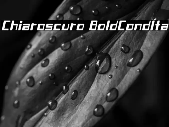 Chiaroscuro-BoldCondIta フォント examples