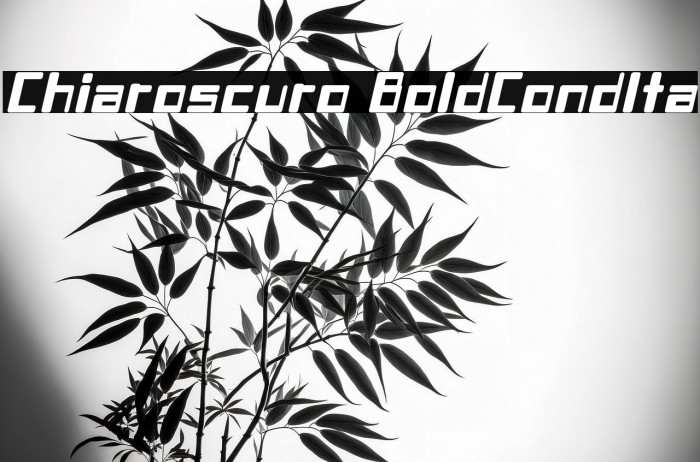 Chiaroscuro-BoldCondIta Example 3