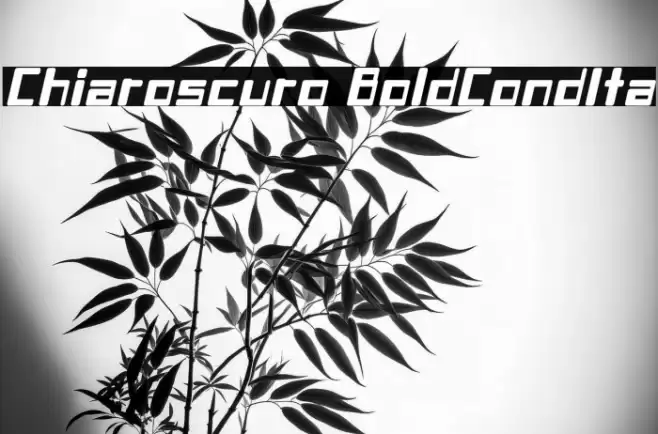 Chiaroscuro-BoldCondIta フォント examples