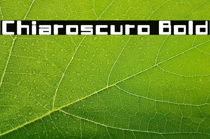 Chiaroscuro-Bold Example 2