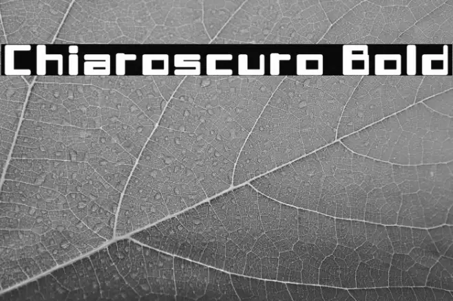 Chiaroscuro-Bold Шрифта examples