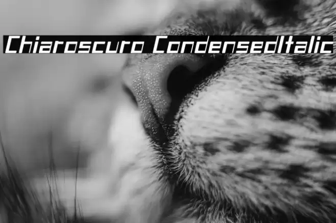 Chiaroscuro-CondensedItalic Fonte examples