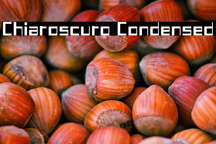 Chiaroscuro-Condensed Example 1