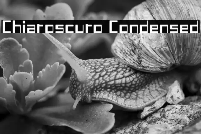 Chiaroscuro-Condensed Fonte examples