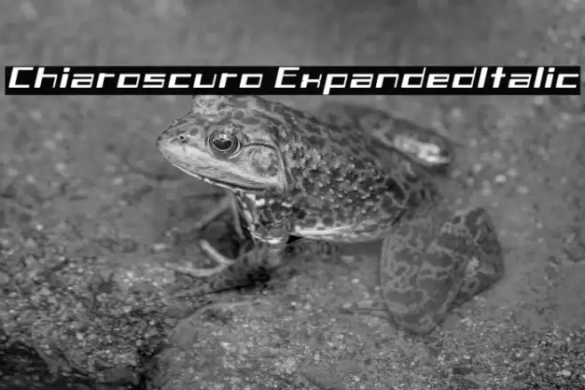 Chiaroscuro-ExpandedItalic Polices examples