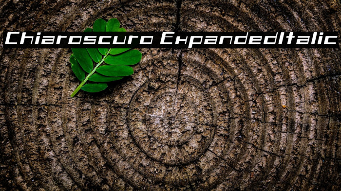 Chiaroscuro-ExpandedItalic Example 2
