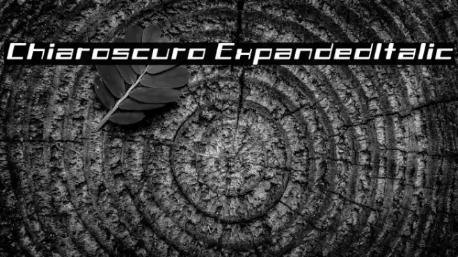 Chiaroscuro-ExpandedItalic Polices examples