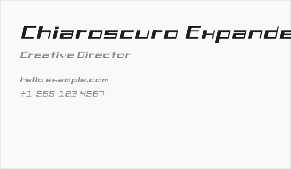 Chiaroscuro-ExpandedItalic Business Card