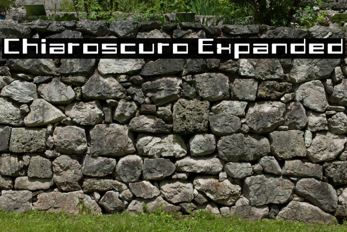 Chiaroscuro-Expanded Example 2