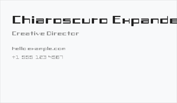 Chiaroscuro-Expanded Business Card