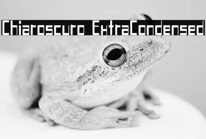 Chiaroscuro-ExtraCondensed Fuentes examples